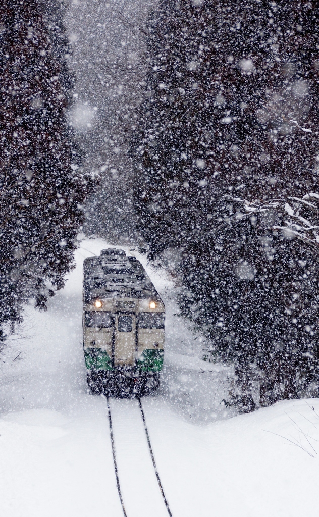 雪の行路！⑤（完）