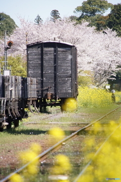 小湊鉄道の里見駅　留置の古い貨車！