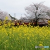 2023　小湊鉄道　春の飯給駅！④（完）