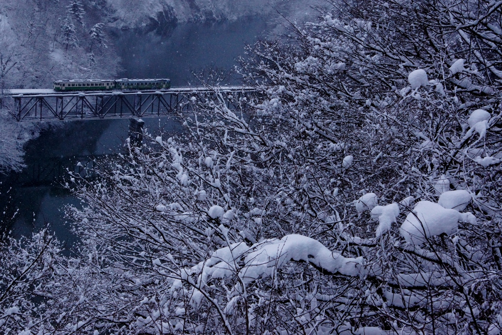 着雪‼
