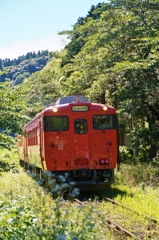 森の中から40現る！