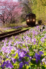 わたらせ渓谷鉄道の春！