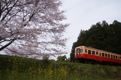 小湊鉄道の春！⑬（完）