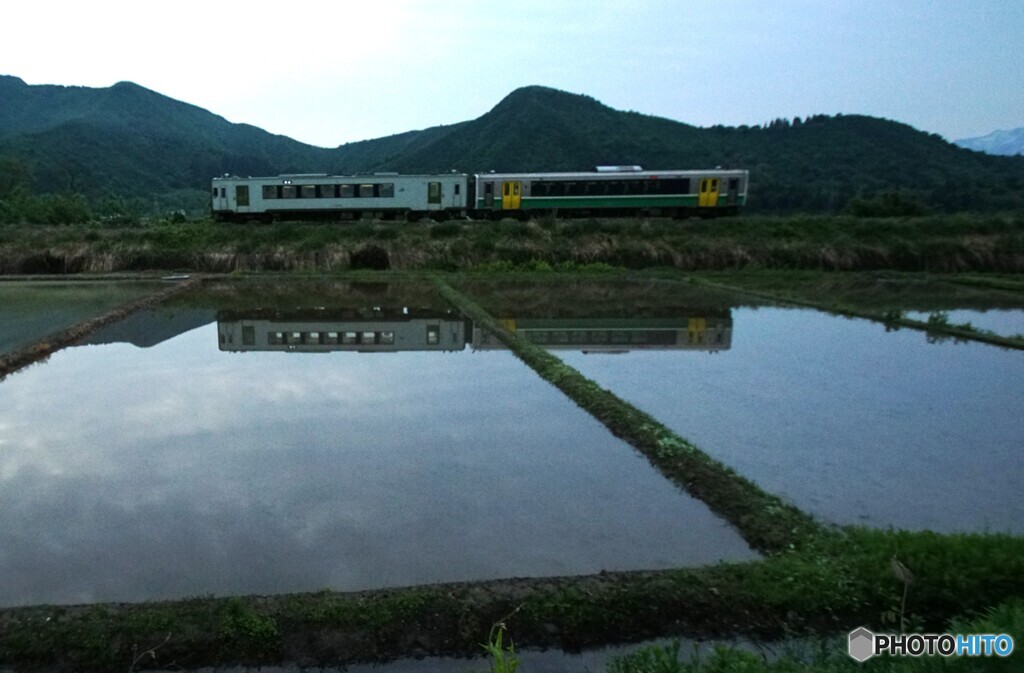 田んぼの水鏡！