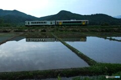 田んぼの水鏡！