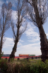 小湊鉄道のキハ40を追いかけて！②