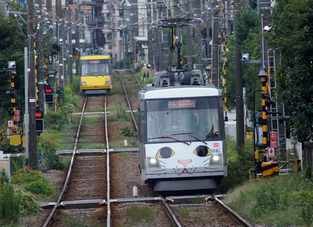 世田谷線散歩！