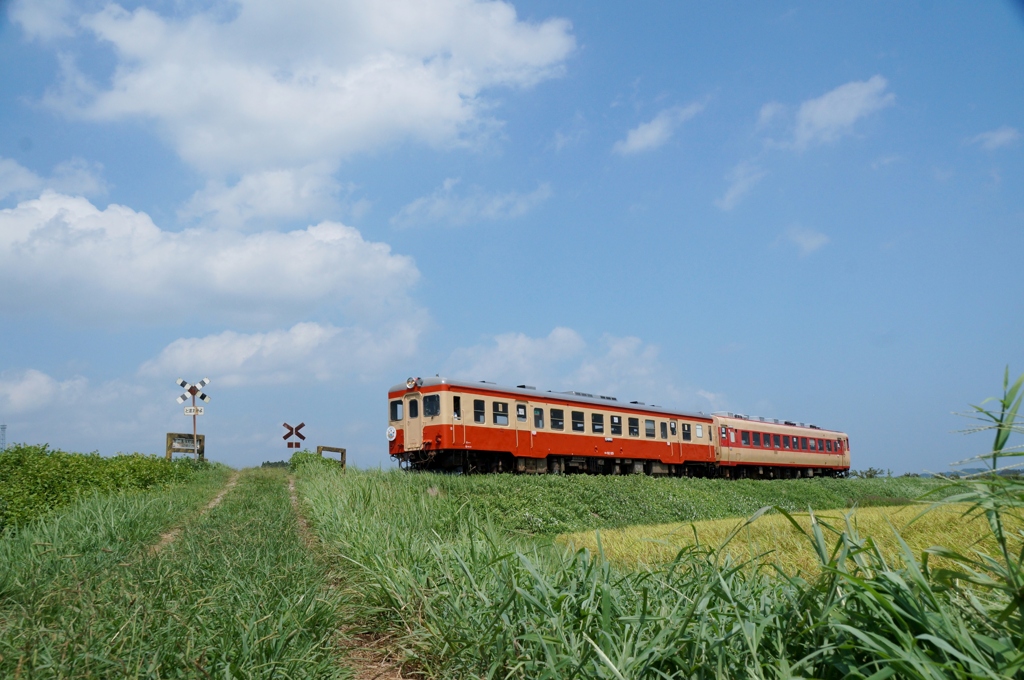 聖地を走る急行！①