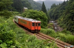 渓谷脇を走るキハ！