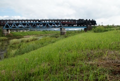 今年の彼岸花は？