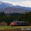 磐越西線事故現場開通記念の臨時列車運行！①