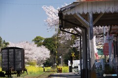 小湊鉄道の里見駅！