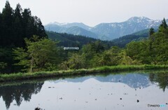 見方によっては絶景！