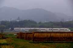 小田急の田園風景！