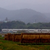 小田急の田園風景！