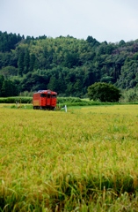 ローカルムード満載！④