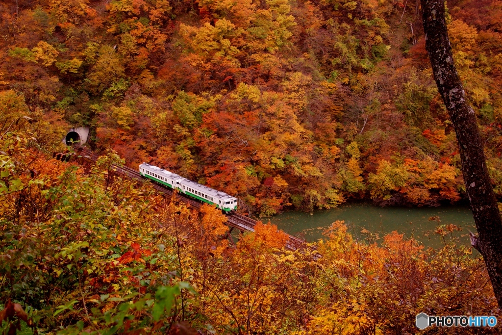 只見線の紅葉！②