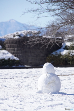 久々の雪だるま！