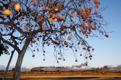 実りの柿とばんえつ物語号