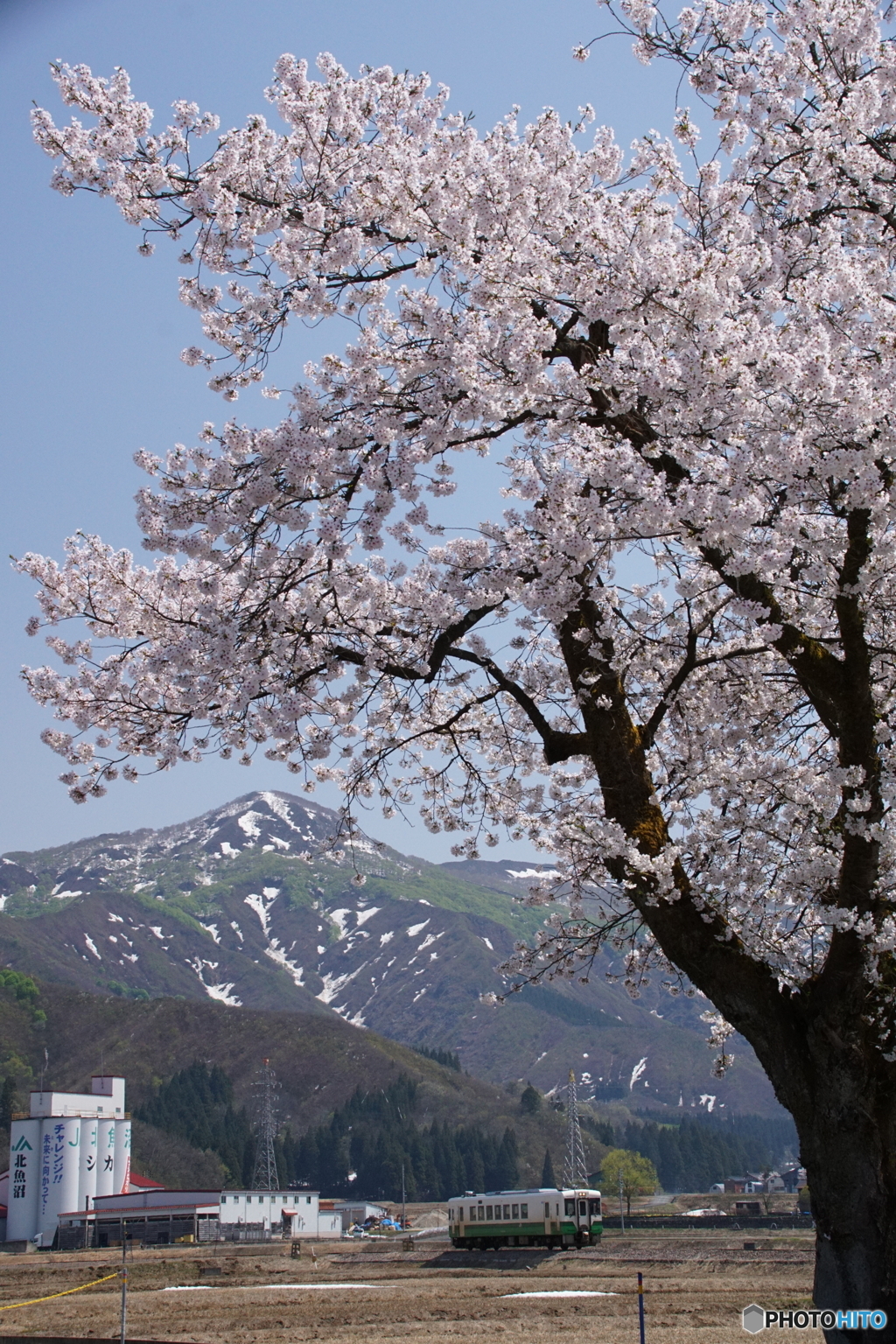 小出に近い田園風景！