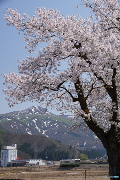 小出に近い田園風景！