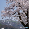 小出に近い田園風景！