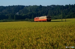 小湊鉄道　上総鶴舞の田園風景！