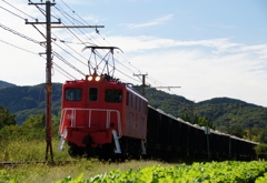 秩父鉄道シリーズ②