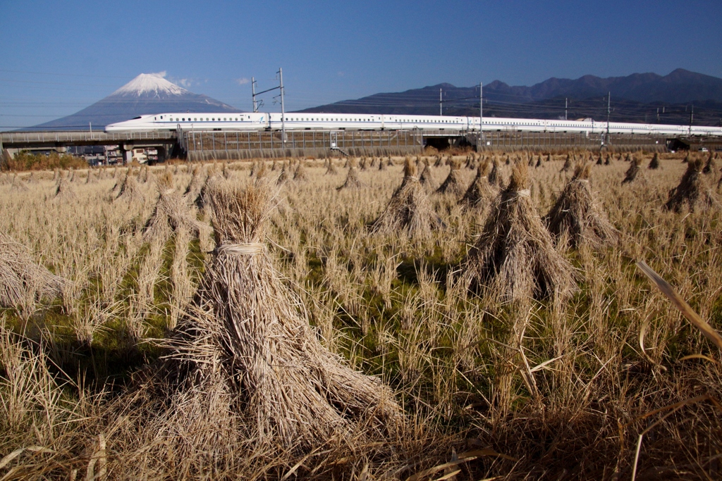 藁ぽっちに富士山に新幹線