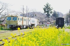 小湊鉄道　里見駅留置車両！