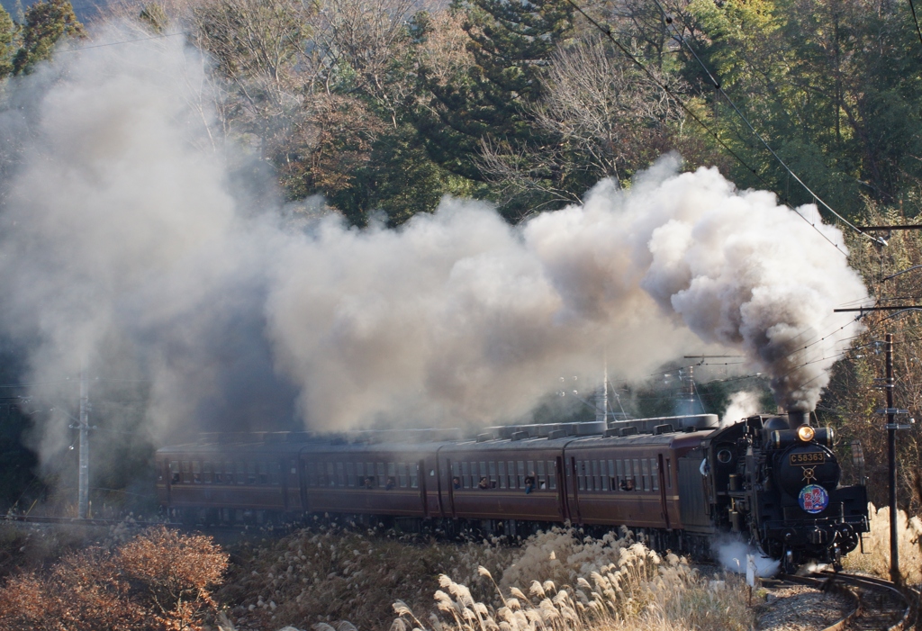 秩父鉄道シリーズ⑮（完）