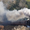 秩父鉄道シリーズ⑮（完）