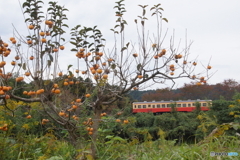 里見駅を出発の上り列車が築堤を走るキハ！