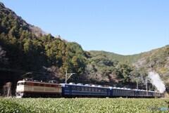 大井川鉄道　SL急行！