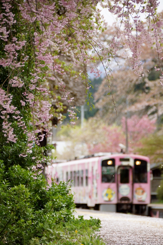 この情景が駅構内⁇