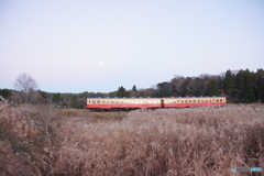 キハ200型車両のサイド！