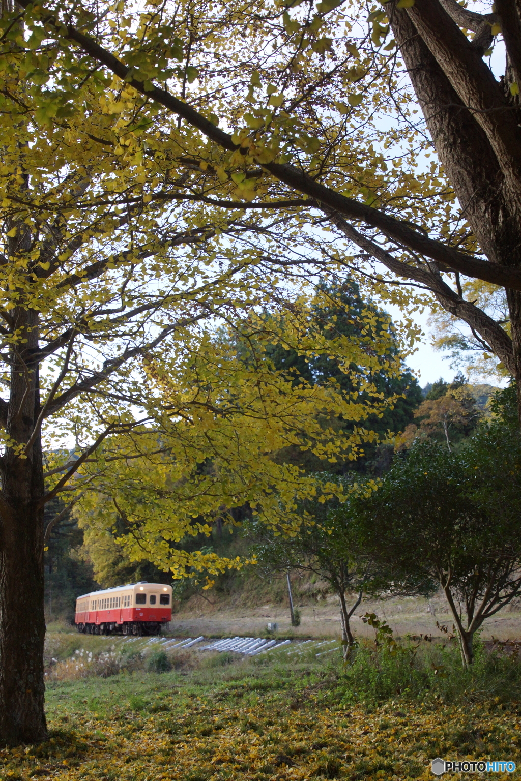 小湊鉄道有名スポット！