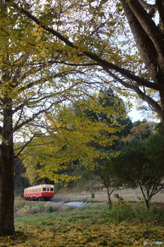 小湊鉄道有名スポット！