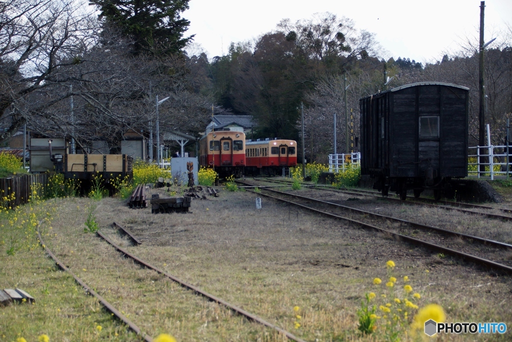 小湊鉄道の里見駅！②