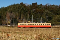 ローカル風景を往くキハ200！