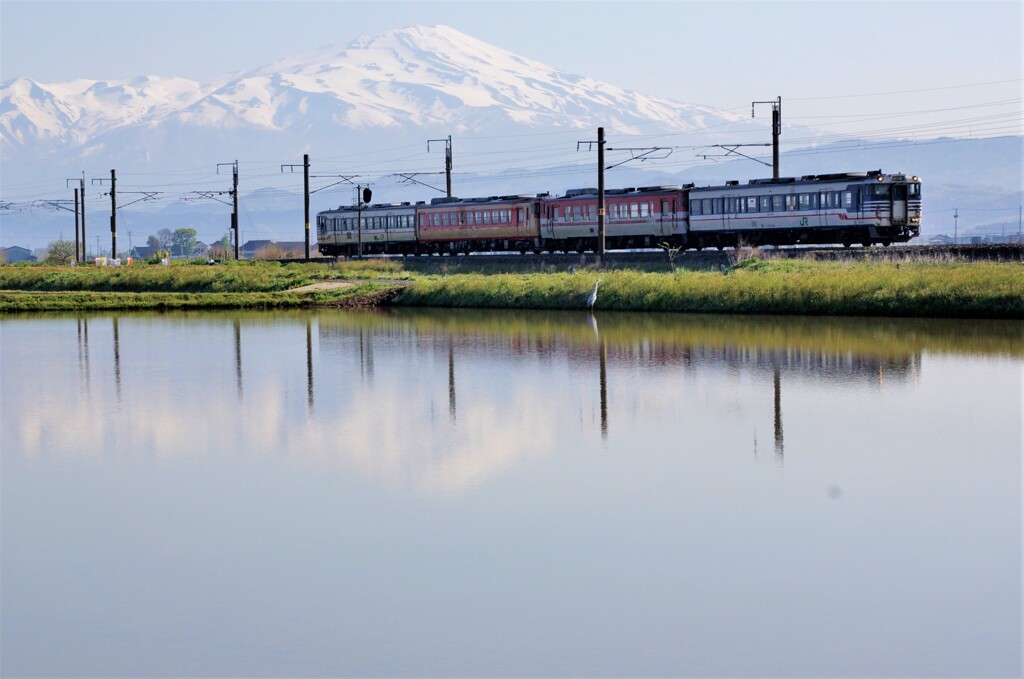 鳥海山が見える鉄道風景！