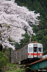 大井川鉄道で働く　元東急の車両！①