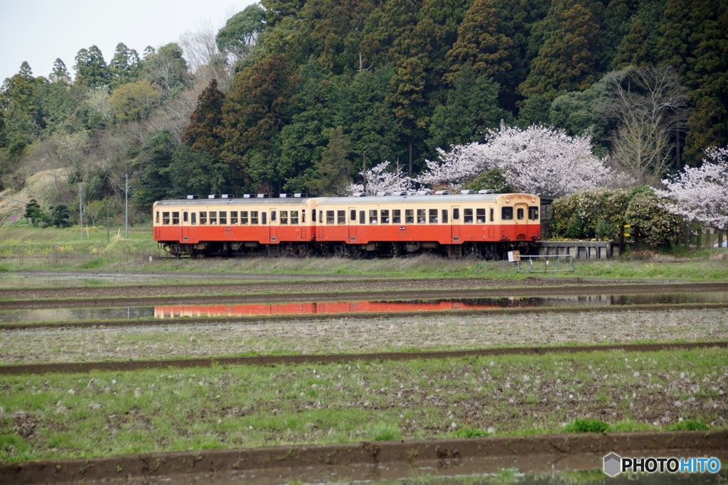 小湊鉄道　上総川間！③