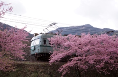 大井川鉄道の春⑤‼
