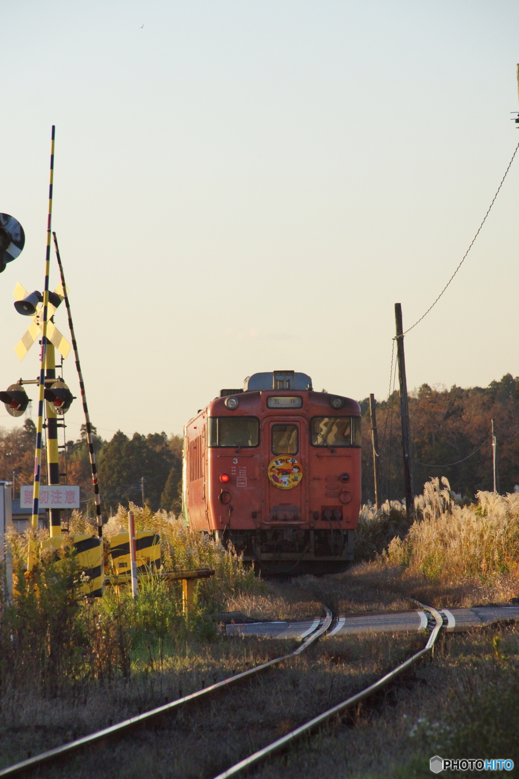 小湊鉄道　キハ40リアビュー！