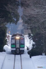 杉林の間から　只見線接近編！