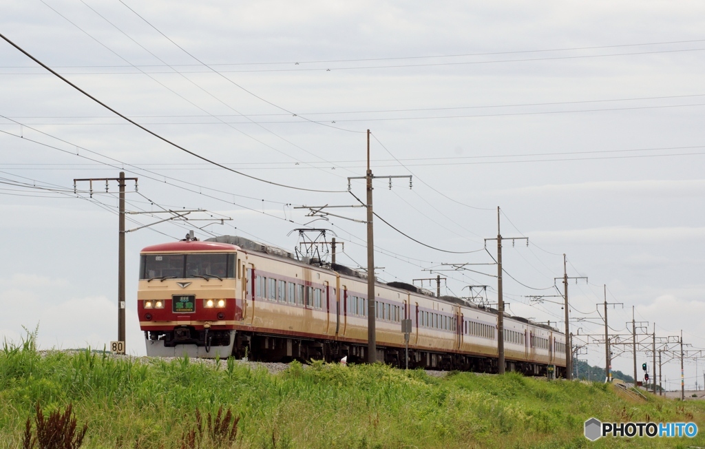 185系電車の想い出写真！⑧（特急色）（完）
