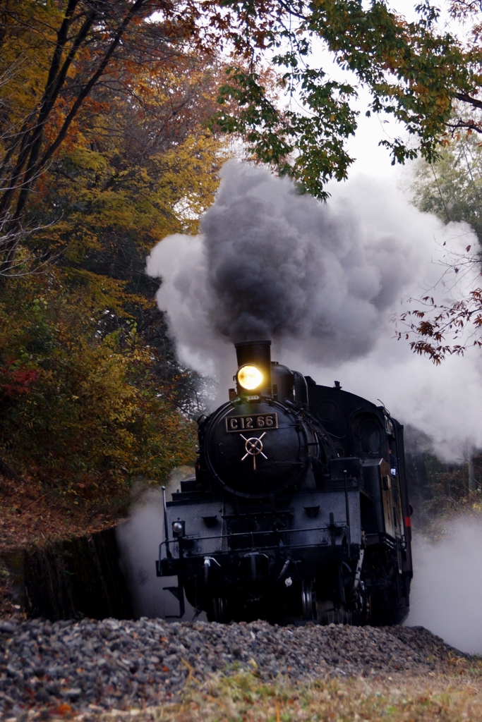 モミジの額縁！