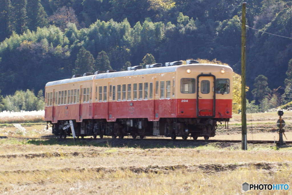 上総鶴舞駅に進入するキハ200！