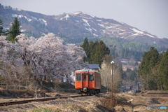冠雪の山と桜とキハ110！